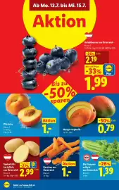 Lidl Flugblatt woche 28 Seite 39