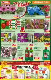 Norma Prospekt woche 29 Seite 14
