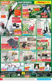 Norma Prospekt woche 29 Seite 2