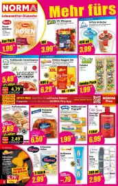 Norma Prospekt woche 29 Seite 8