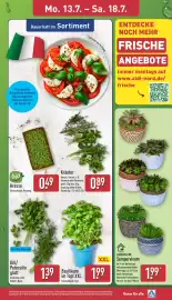 Aldi Nord Prospekt woche 29 Seite 3