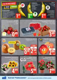 Edeka Prospekt Seite 2