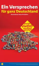 Lidl Prospekt Seite 66