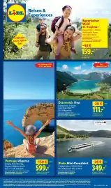 Lidl Prospekt Seite 71