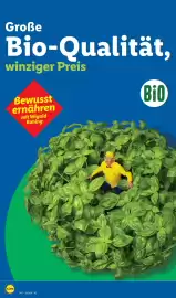 Lidl Prospekt Seite 8