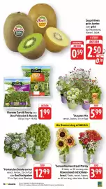 Edeka Niemerszein Prospekt woche 28 Seite 3