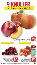 Edeka Niemerszein Prospekt woche 28 Seite 40