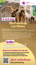 Edeka Niemerszein Prospekt woche 28 Seite 53