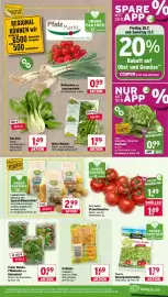 Wasgau Prospekt woche 28 Seite 7