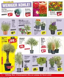 Repo Markt Prospekt woche 28 Seite 6