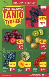 ALDI gazetka tydzień 28 Strona 7