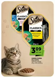 Groszek gazetka tydzień 27 Strona 40