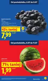 Lidl gazetka Strona 17