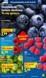 Lidl gazetka Strona 33
