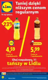 Lidl gazetka Strona 4