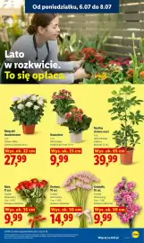 Lidl gazetka Strona 87