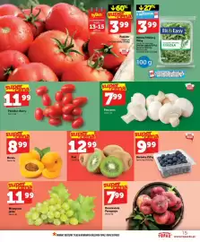 Topaz gazetka tydzień 28 Strona 15