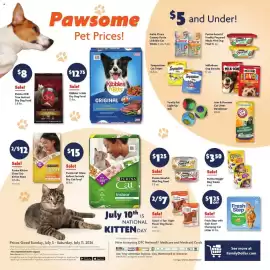 Family Dollar weekly ad week 28 Page 11