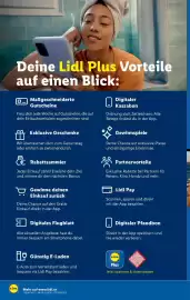 Lidl Flugblatt woche 28 Seite 6