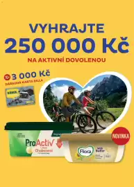 Billa leták týden 28 Strana 24
