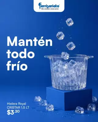 Ferrisariato (válido hasta 20-07)