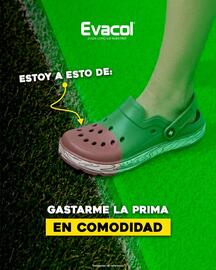 Catálogo Evacol Página 4