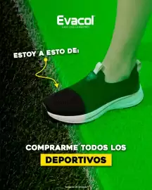 Catálogo Evacol Página 3