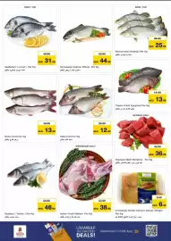 Nesto catalogue Page 8