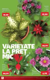 Catalog Kaufland săptămâna 28 Pagină 13