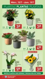 Folleto ALDI semana 29 Página 12
