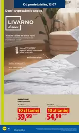 Lidl gazetka tydzień 29 Strona 10