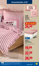 Lidl gazetka tydzień 29 Strona 9