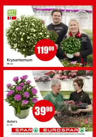 Eurospar kundeavis uke 28 Side 13