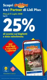 Volantino Lidl settimana 28 Pagina 29