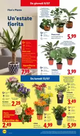 Volantino Lidl settimana 28 Pagina 36