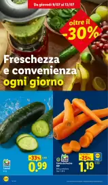 Volantino Lidl settimana 28 Pagina 4