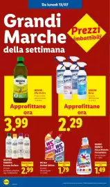 Volantino Lidl settimana 28 Pagina 44