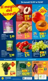 Volantino Lidl settimana 28 Pagina 51