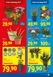 Lidl reklamblad vecka 29 Sida 20