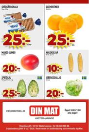 Din Mat reklamblad vecka 28 Sida 8