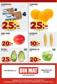 Din Mat reklamblad vecka 28 Sida 8