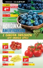 Biedronka gazetka tydzień 28 Strona 20