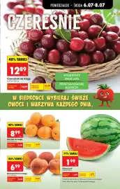 Biedronka gazetka tydzień 28 Strona 21