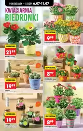 Biedronka gazetka tydzień 28 Strona 23