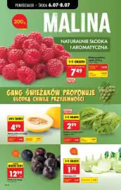 Biedronka gazetka tydzień 28 Strona 26