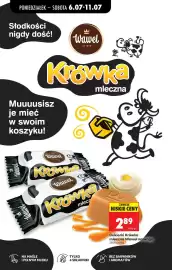 Biedronka gazetka tydzień 28 Strona 58