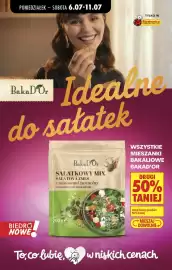 Biedronka gazetka tydzień 28 Strona 80