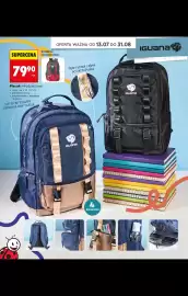Biedronka gazetka Strona 42