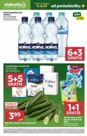 Stokrotka gazetka Strona 1