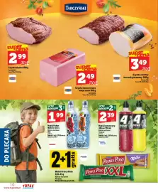 Topaz Express gazetka tydzień 28 Strona 10